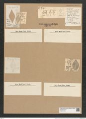 Rhaphoneis rhombus Ehr. (de-Toni-Nr.: Genus 78, Species 2814) Zeichnungen Sammlung Grunow Nr. 5780 (NHMW-BOT-W0374178)